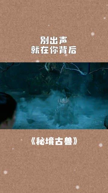 豪华轿车记忆卡